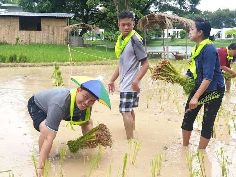 Hotel I View Park Resort