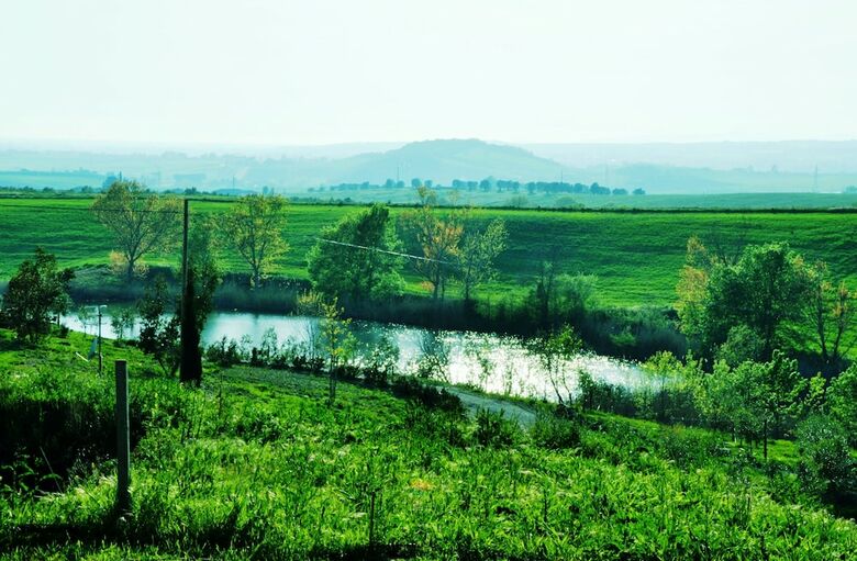 Agroturismo Montecristo Country House
