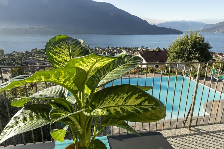 Apartamento La Collina Degli Ulivi