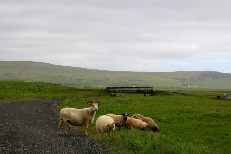 Hotel H�tel Geirland