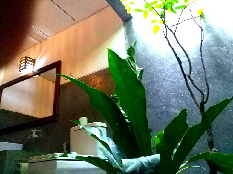 Bed & Breakfast Habarana Ambasewana Resort