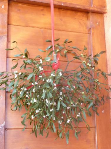 Apartamento Haus Rosenrot