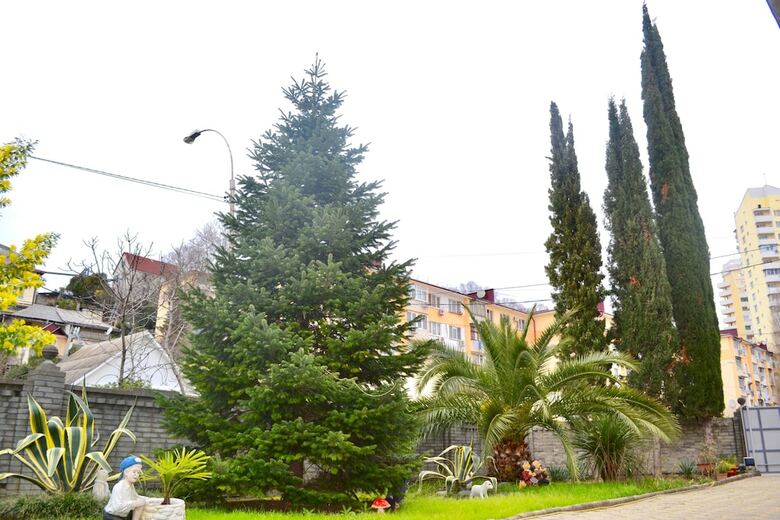 Hotel Guest House Usadba