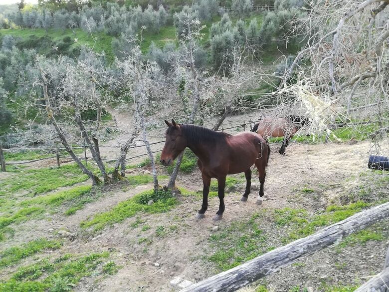 Agroturismo Agriturismo La Forra