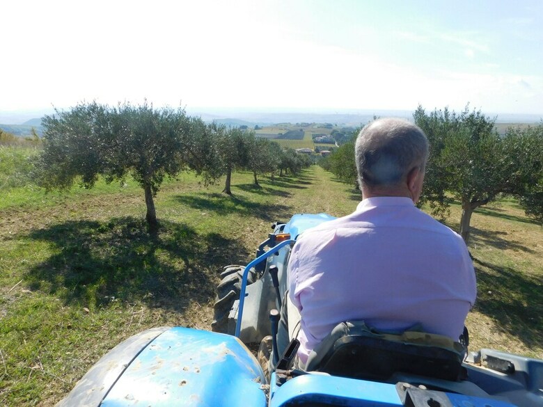 Agroturismo Agriturismo Case Sgaraglino