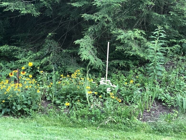 The Ashe Farm Bed & Breakfast