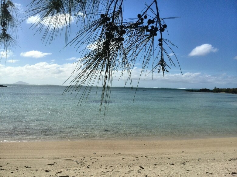 Bahama Breeze Beach Apartment B&B