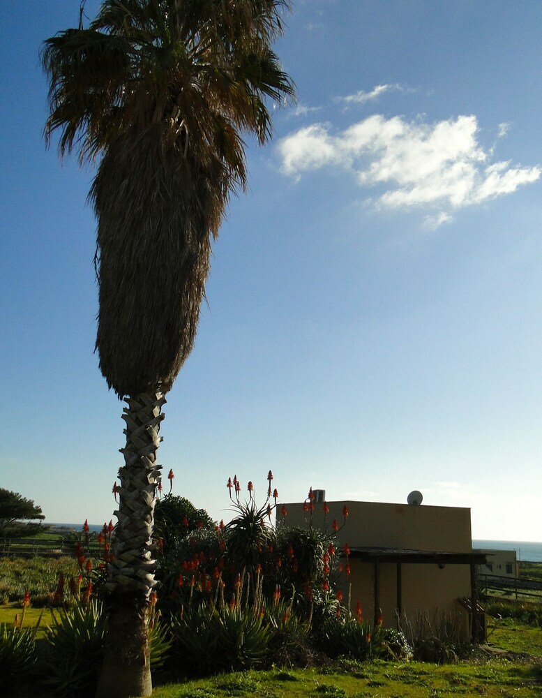 Agroturismo Il Giardino Delle Aloe