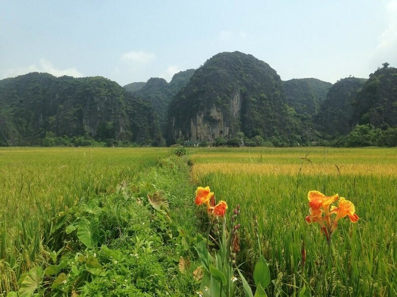 Hotel Tam Coc Mountain View Homestay