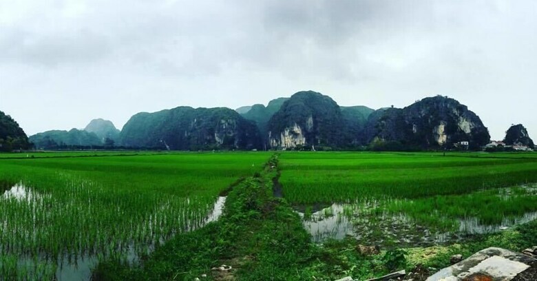 Hotel Tam Coc Mountain View Homestay