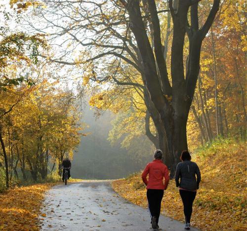 Hostal Hotel Abtshof