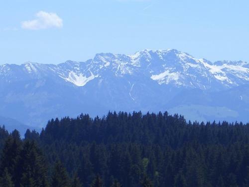 Apartamento G�stehaus Rimmel