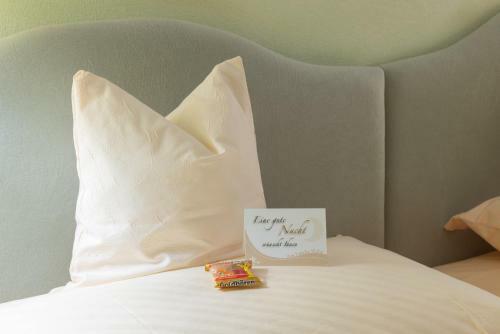 Hostal Goldener Schwan Hotel Garni