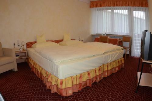 Hostal Goldener Schwan Hotel Garni