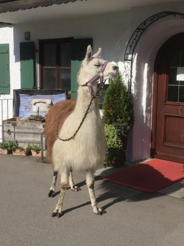 Landhotel Maximilian