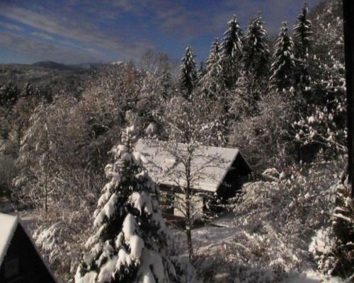 Apartamento Ferienwohnung Teddy