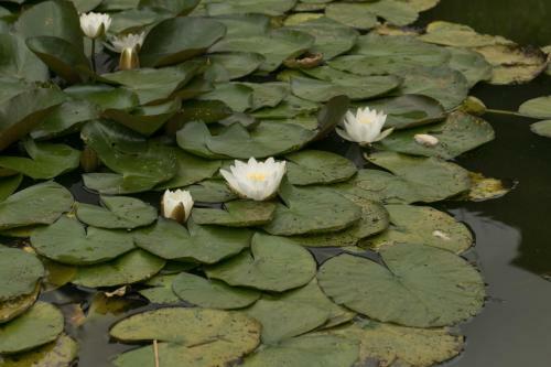 Hostal Haus Am Wasserfall