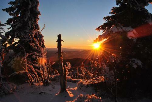 Posada Zur Alten Dampfs�ge - Gasthaus-pension Weber
