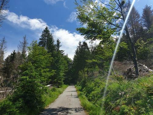 Apartamento Haus Bergblick