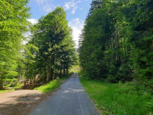 Apartamento Haus Bergblick