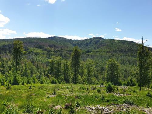 Apartamento Haus Bergblick