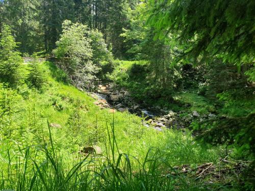 Apartamento Haus Bergblick