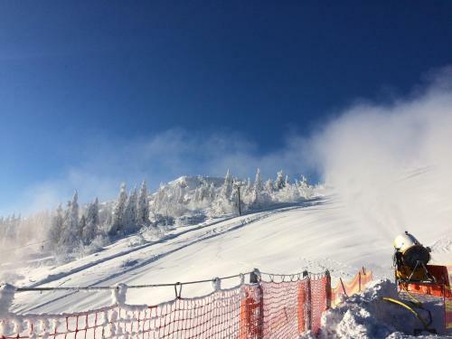 Apartamento Haus Bergblick