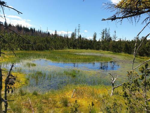 Apartamento Haus Bergblick