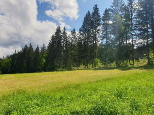 Apartamento Haus Bergblick