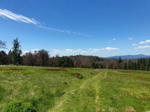 Apartamento Haus Bergblick