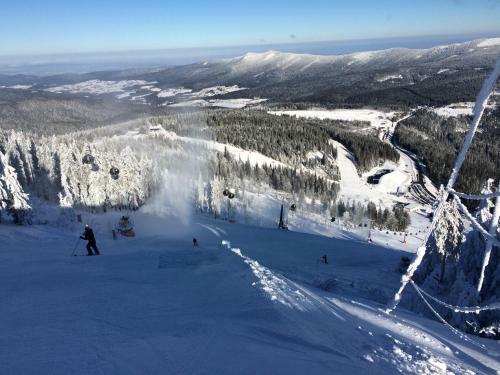 Apartamento Haus Bergblick