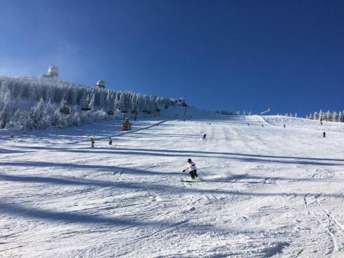 Apartamento Haus Bergblick