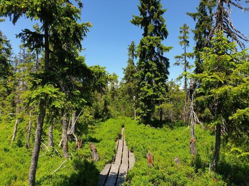Apartamento Haus Bergblick