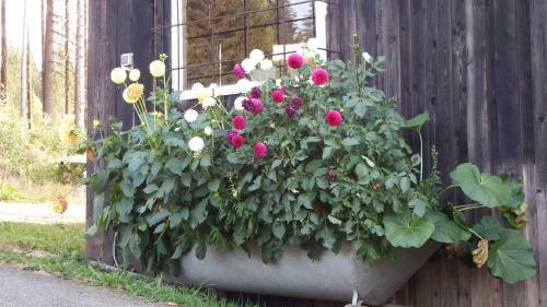 Apartamento Haus Bergblick