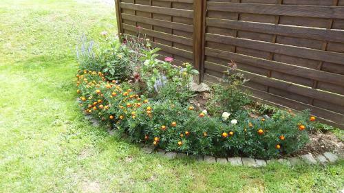 Apartamento Haus Bergblick