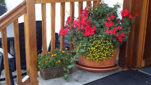 Apartamento Haus Bergblick