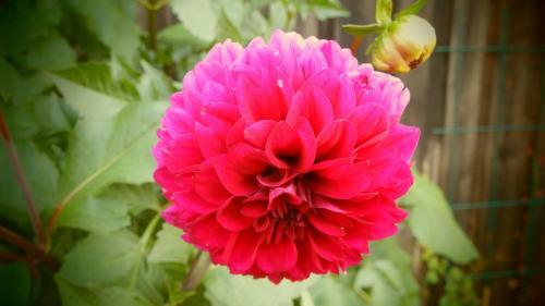 Apartamento Haus Bergblick