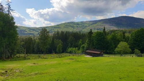 Apartamento Haus Bergblick