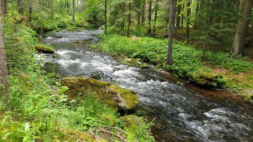 Apartamento Haus Bergblick