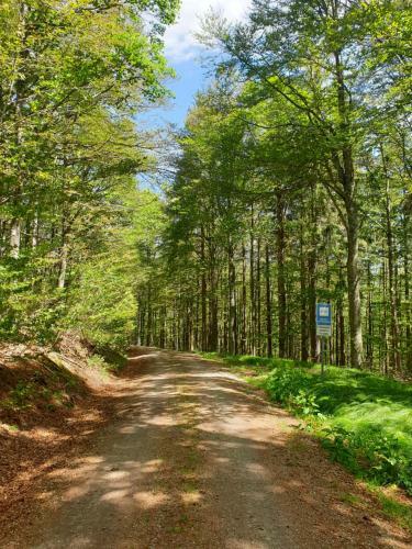 Apartamento Haus Bergblick