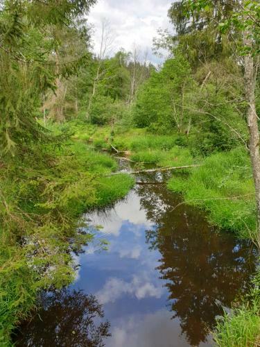 Apartamento Haus Bergblick
