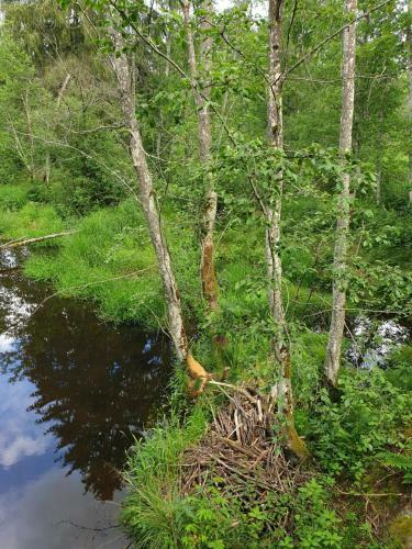 Apartamento Haus Bergblick