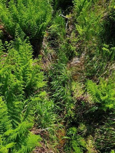 Apartamento Haus Bergblick