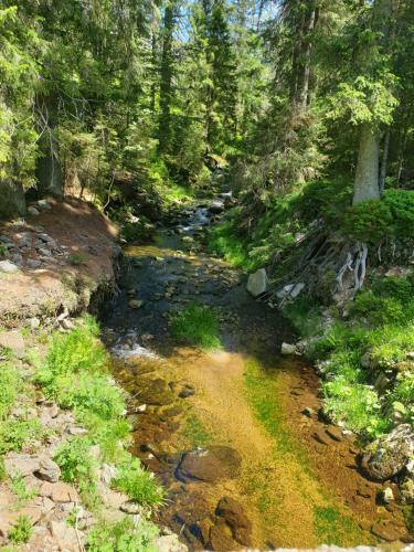 Apartamento Haus Bergblick