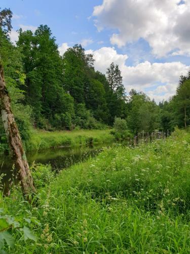 Apartamento Haus Bergblick