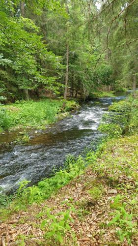 Apartamento Haus Bergblick