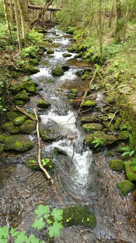 Apartamento Haus Bergblick