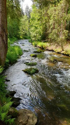 Apartamento Haus Bergblick