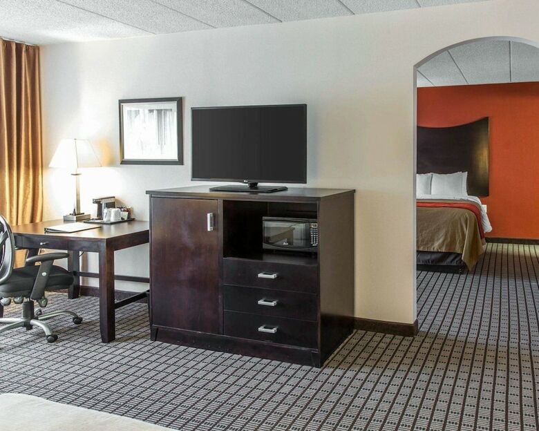 Hotel Comfort Inn & Suites Bwi Airport