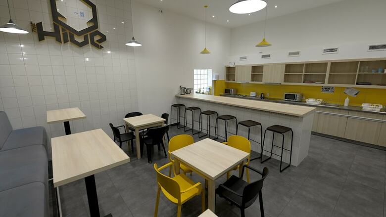 Hostal The Hive Party Hostel